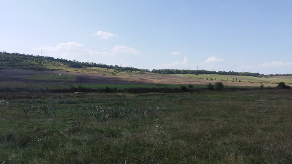 Село Константиновка Самарская область.